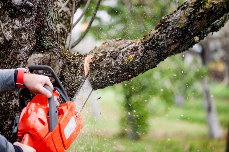 Apple Tree Removal in Aiken, SC
