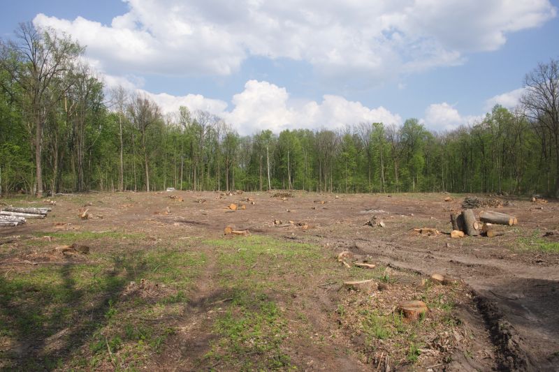 Farm Clearing in Gwinnett County, GA