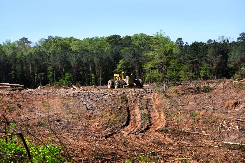 Site Clearing Service in Gwinnett County, GA